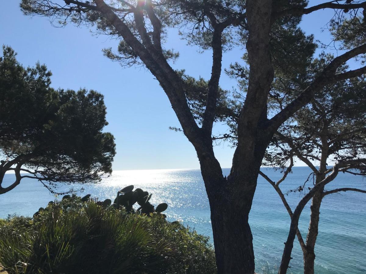 Apartamento Vistas Mar Y Piscina ミアミ・プラトーヤ エクステリア 写真